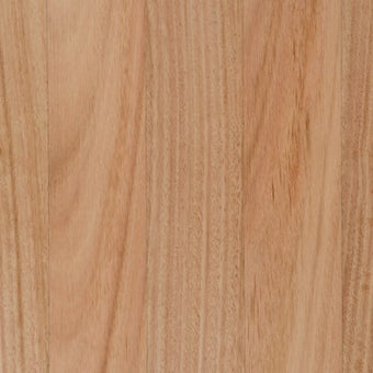 Solid Timber, Pilularis / BlackButt